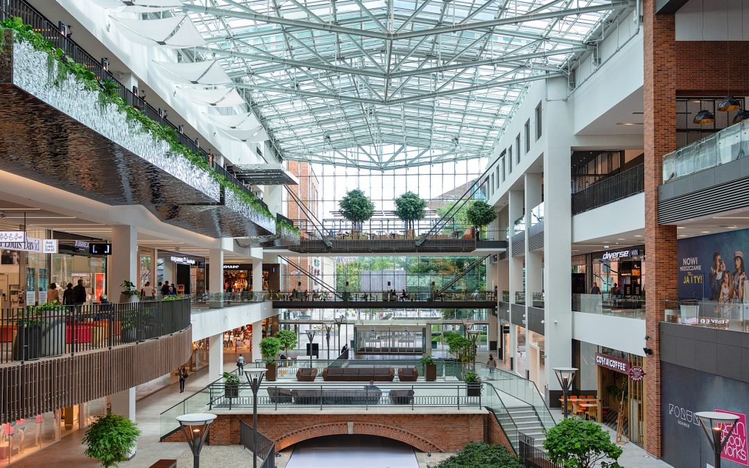 Origini e Evoluzione della GDO in Italia